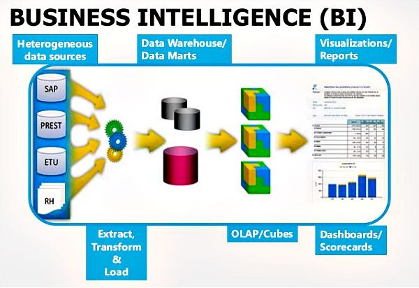 Business Intelligence Org Chart